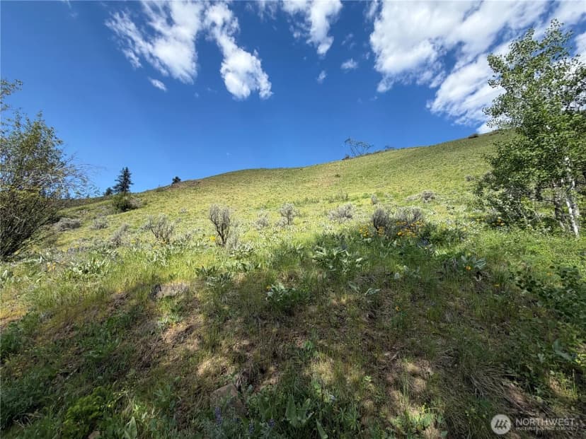 Property photo for 0 Tyee View Loop, Waterville photo 16