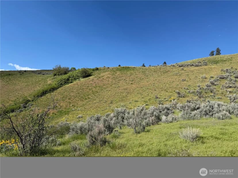 Property photo for 0 Tyee View Loop, Waterville photo 13