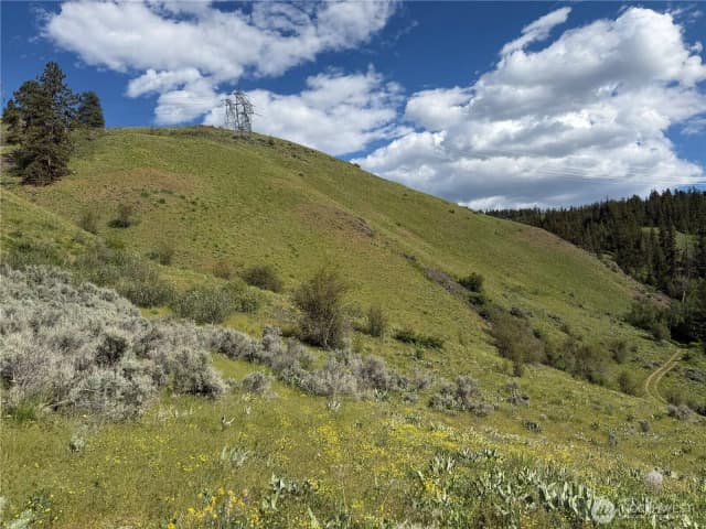 Property photo for 0 Tyee View Loop, Waterville photo 5