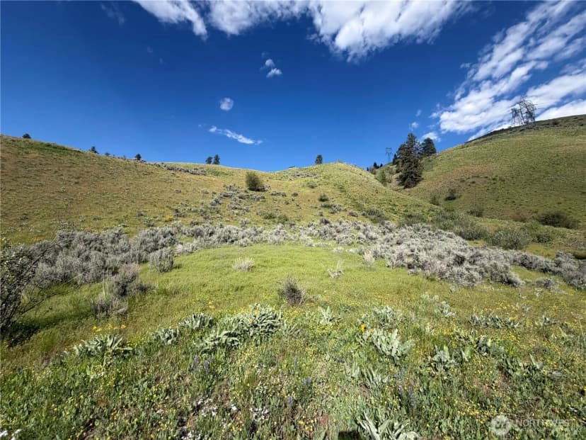Property photo for 0 Tyee View Loop, Waterville photo 12