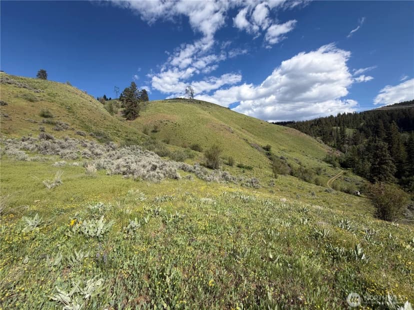 Property photo for 0 Tyee View Loop, Waterville photo 11