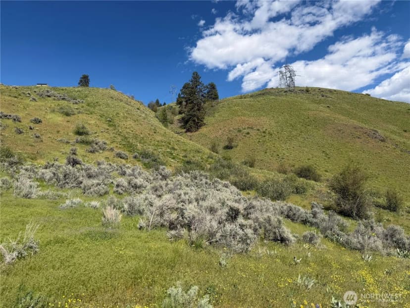 Property photo for 0 Tyee View Loop, Waterville photo 3