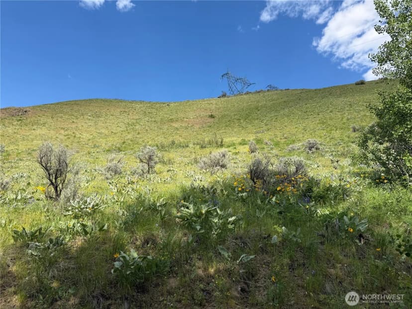 Property photo for 0 Tyee View Loop, Waterville photo 15