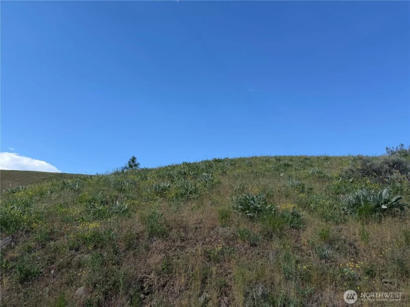 Property photo for 0 Tyee View Loop, Waterville photo 18