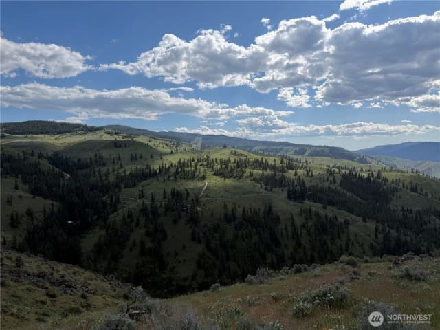 Property photo for 0 Tyee View Loop, Waterville