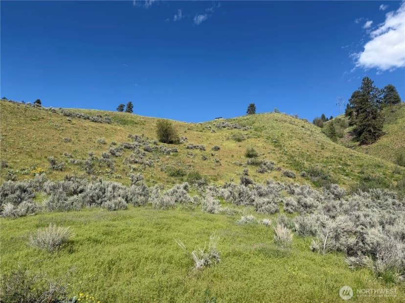 Property photo for 0 Tyee View Loop, Waterville photo 2