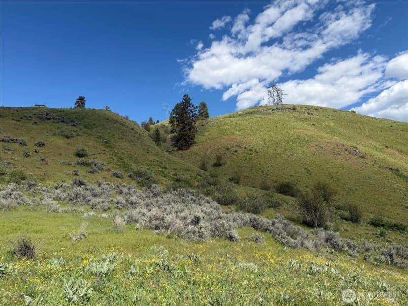 Property photo for 0 Tyee View Loop, Waterville photo 8