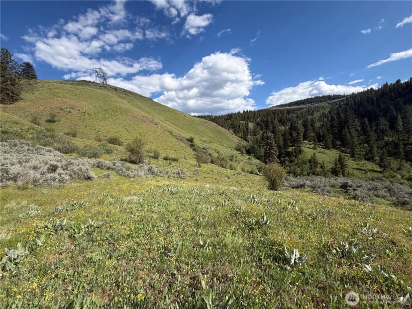 Property photo for 0 Tyee View Loop, Waterville photo 10