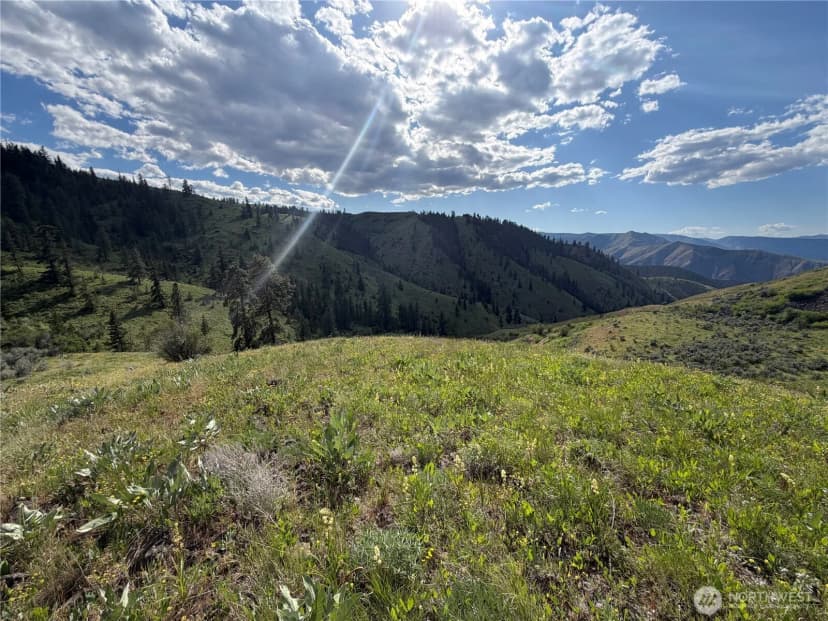 Property photo for 0 Tyee View Loop, Waterville photo 9