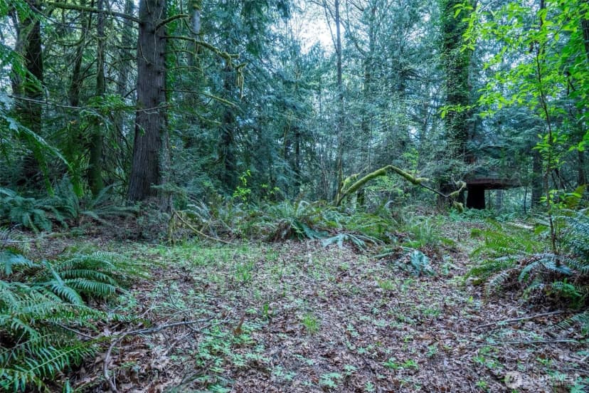 Property photo for 0 Nw Reyonlds Road, Vaughn photo 9