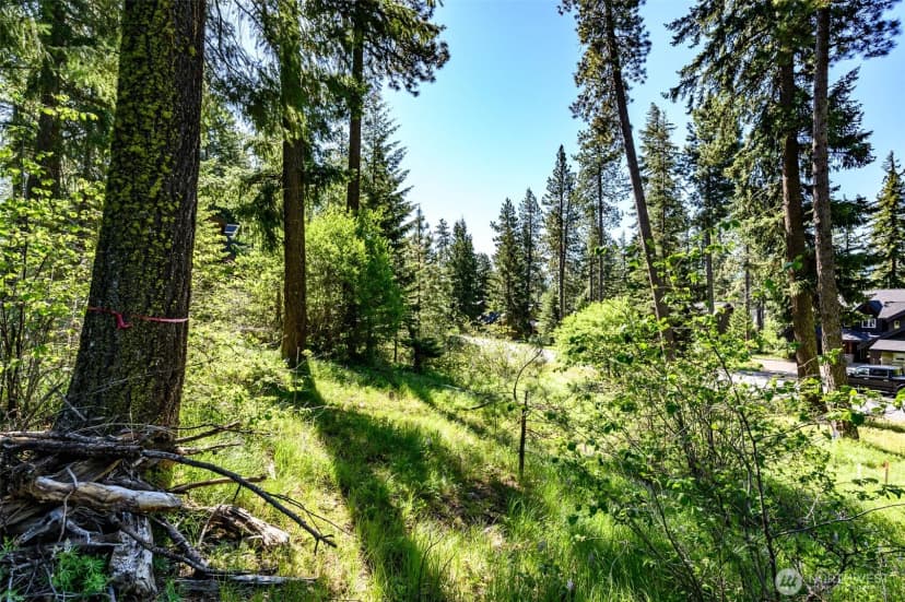 Property photo for 1980 Coal Mine Way, Cle Elum photo 19