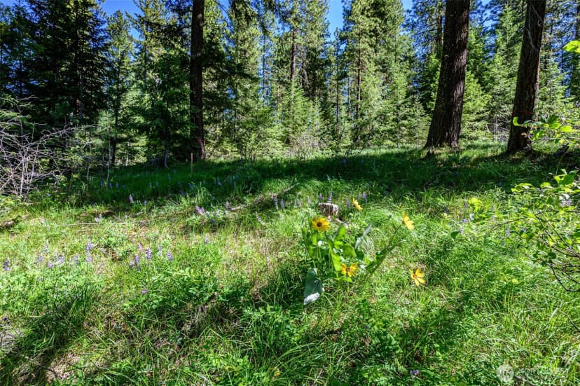 Property photo for 1980 Coal Mine Way, Cle Elum photo 8