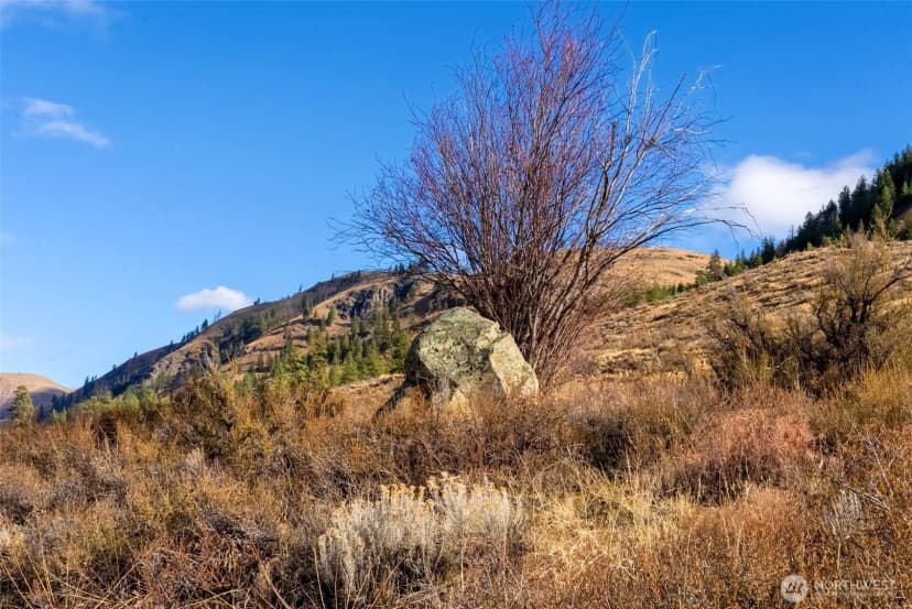 Property photo for 97 Thurlow Road, Twisp photo 30