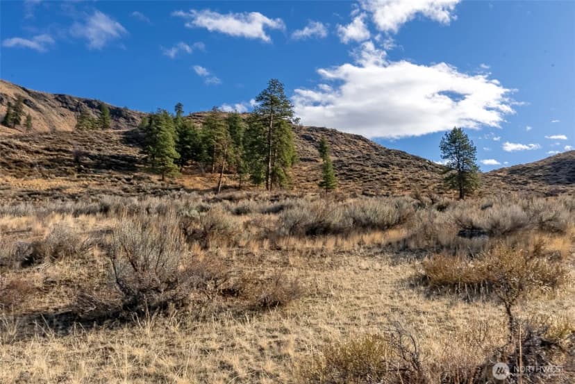 Property photo for 97 Thurlow Road, Twisp photo 29