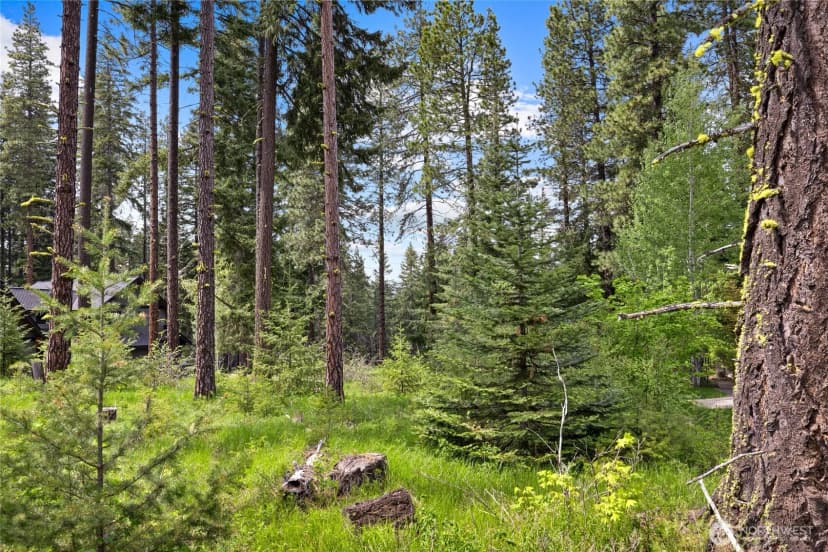 Property photo for 261 Maple Leaf Loop, Cle Elum photo 7