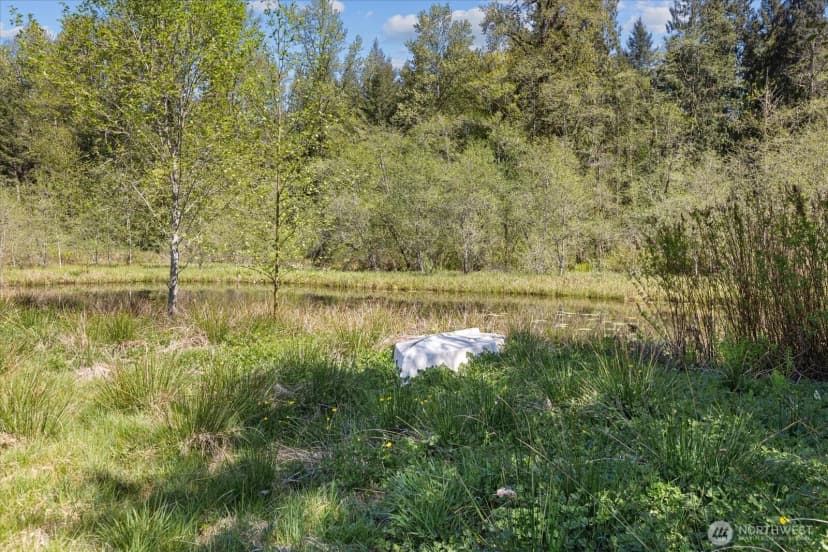 Property photo for 121 N Carpenter Road, Snohomish photo 37