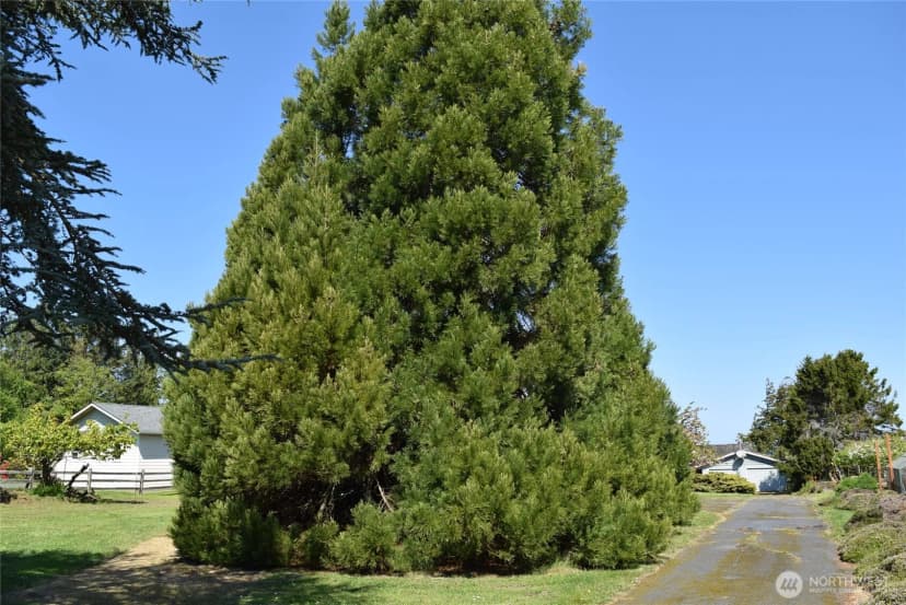Property photo for 432 W Anderson Road, Sequim photo 36