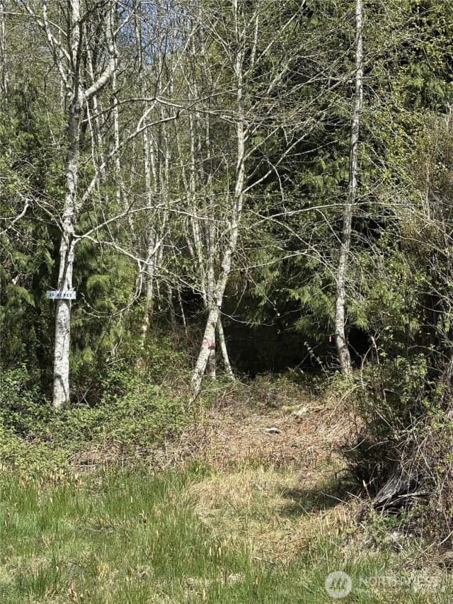Property photo for Address withheld, Arlington photo 5