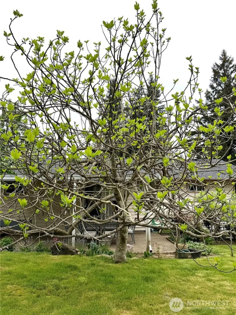Property photo for 13029 Se 206 Place, Kent photo 20