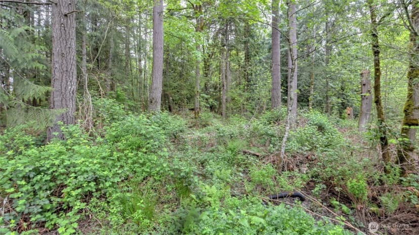 Property photo for 0 Se 311th Court, Covington photo 5