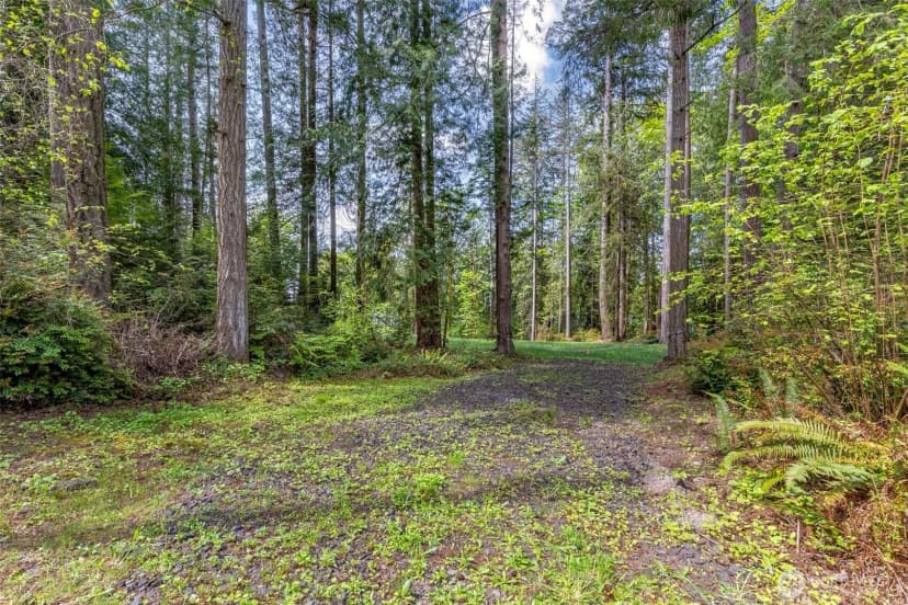 Property photo for 13502 Good Enough Drive Nw, Gig Harbor photo 6