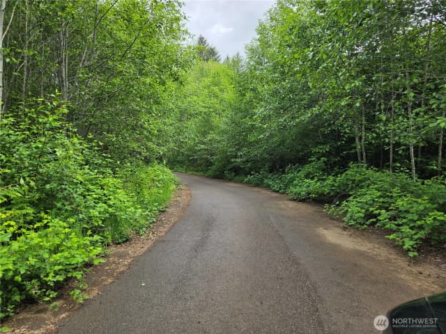 Property photo for 7 Beaver Hill Lane, Montesano photo 3