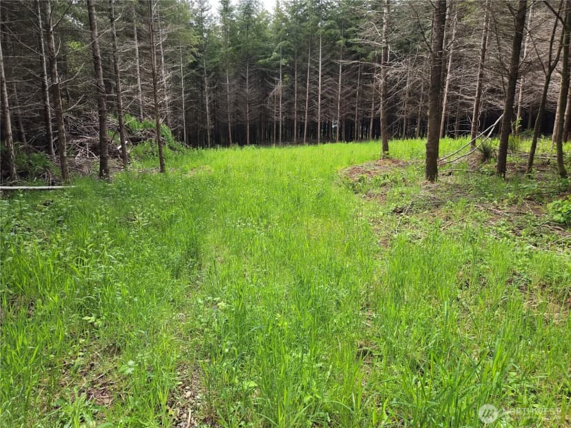 Property photo for 7 Beaver Hill Lane, Montesano