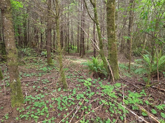Property photo for 13 Beaver Hill Lane, Montesano
