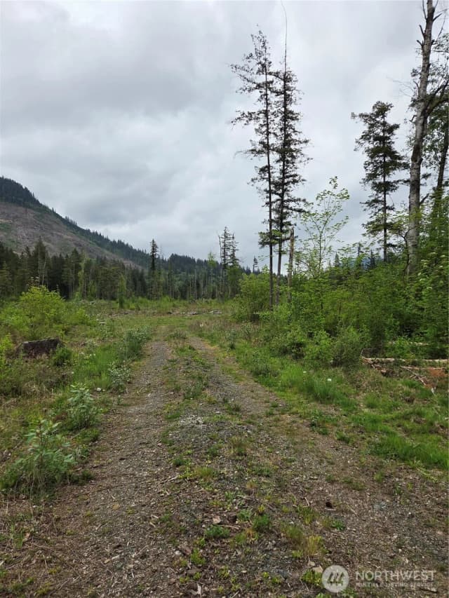 Property photo for 0 Wa-547, Sumas photo 2