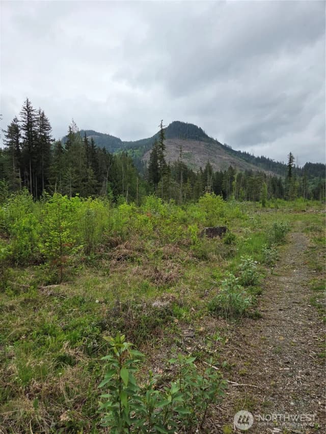 Property photo for 0 Wa-547, Sumas
