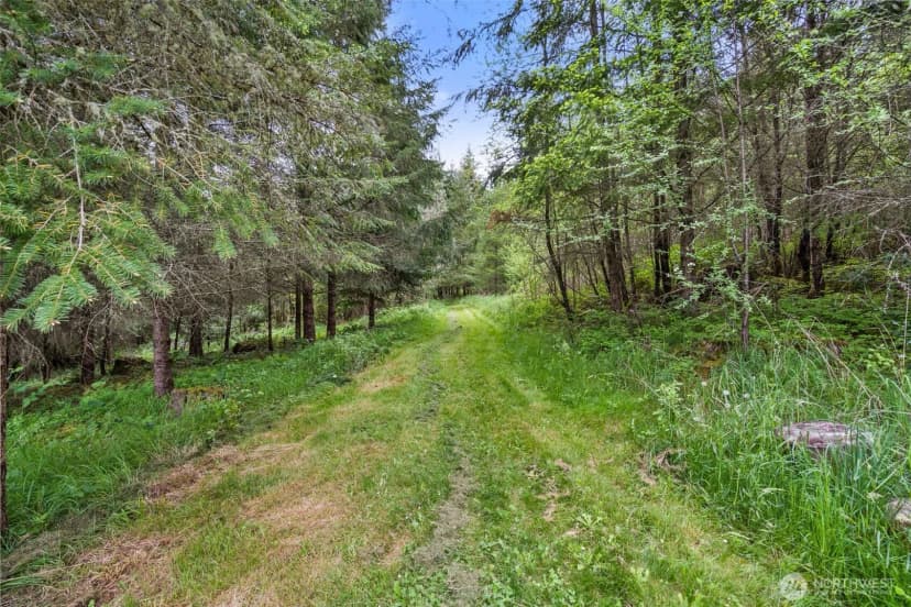 Property photo for 236 Chilvers Road, Chehalis photo 32