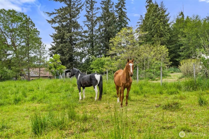 Property photo for 236 Chilvers Road, Chehalis photo 29