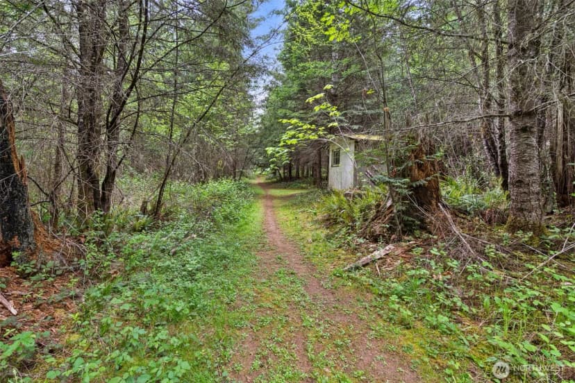 Property photo for 236 Chilvers Road, Chehalis photo 33
