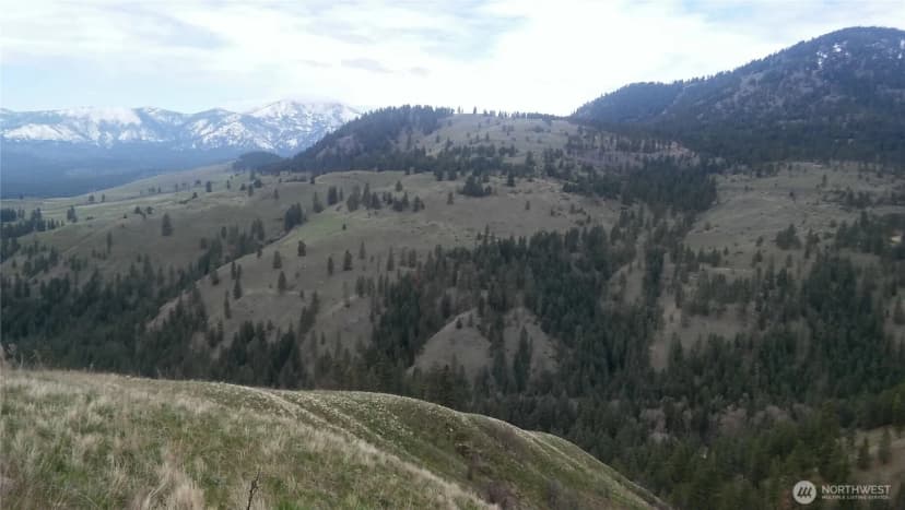 Property photo for 0 Tbd N Fork Salmon Creek Road, Conconully photo 5
