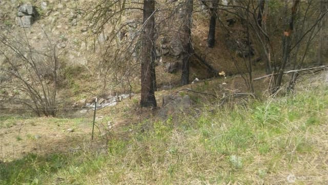 Property photo for 0 Tbd N Fork Salmon Creek Road, Conconully photo 2