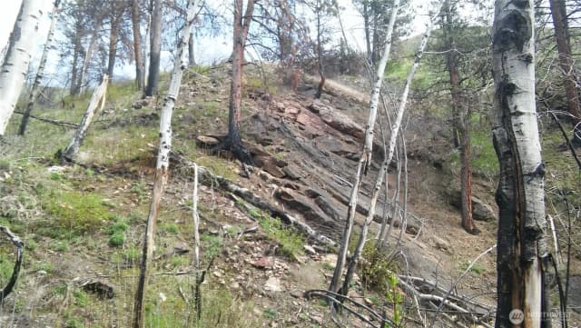 Property photo for 0 Tbd N Fork Salmon Creek Road, Conconully photo 4