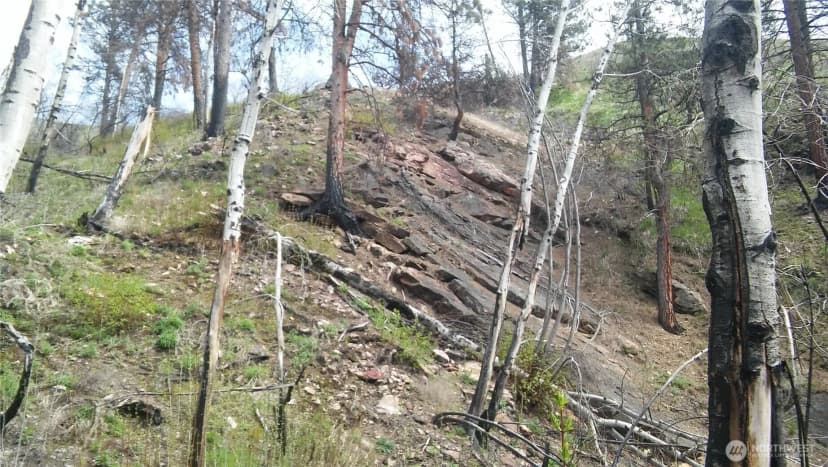 Property photo for 0 Tbd N Fork Salmon Creek Road, Conconully photo 4