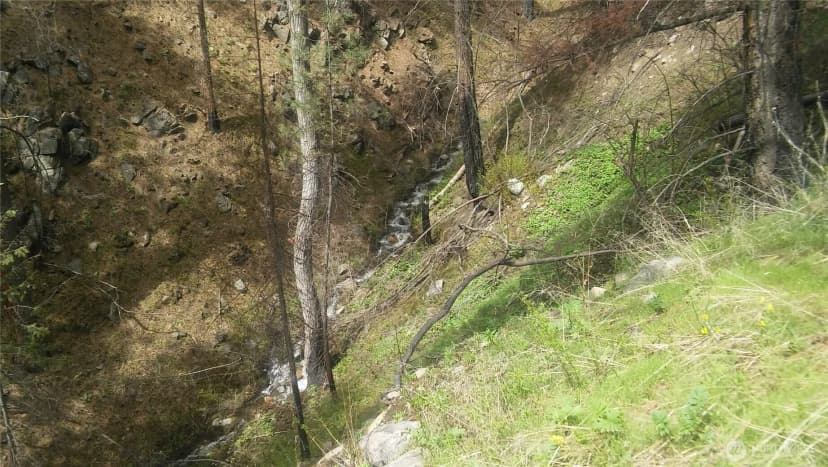 Property photo for 0 Tbd N Fork Salmon Creek Road, Conconully photo 6