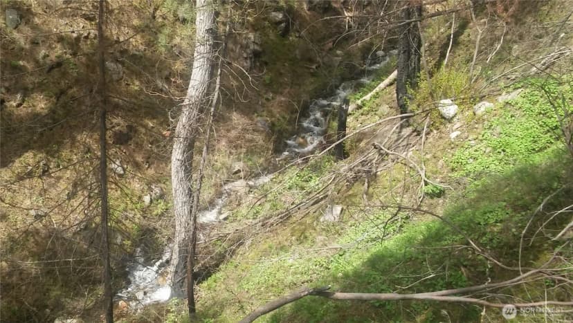 Property photo for 0 Tbd N Fork Salmon Creek Road, Conconully photo 3
