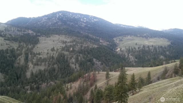 Property photo for 0 Tbd N Fork Salmon Creek Road, Conconully