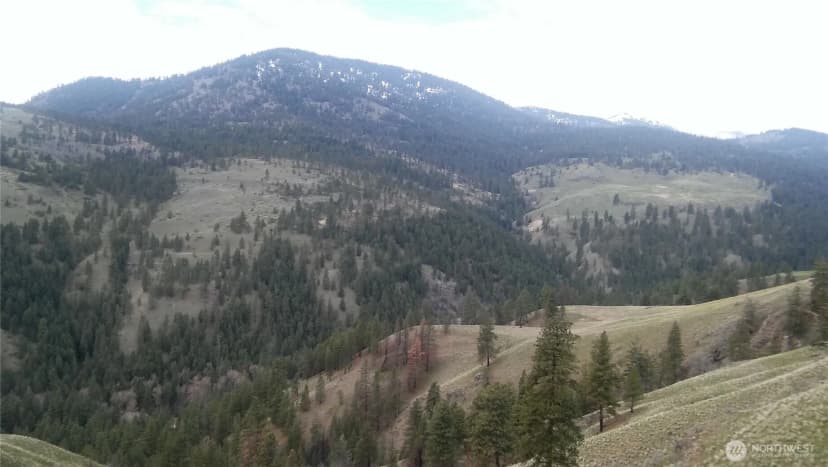 Property photo for 0 Tbd N Fork Salmon Creek Road, Conconully