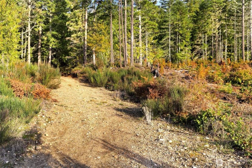 Property photo for 63 Wayne Road W, Seabeck photo 14