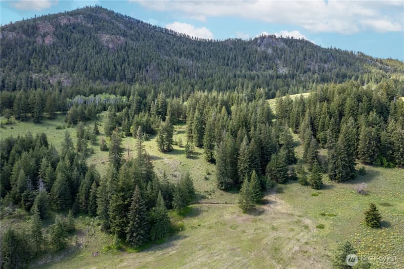 Property photo for 102 Elbow Canyon Road, Twisp photo 4