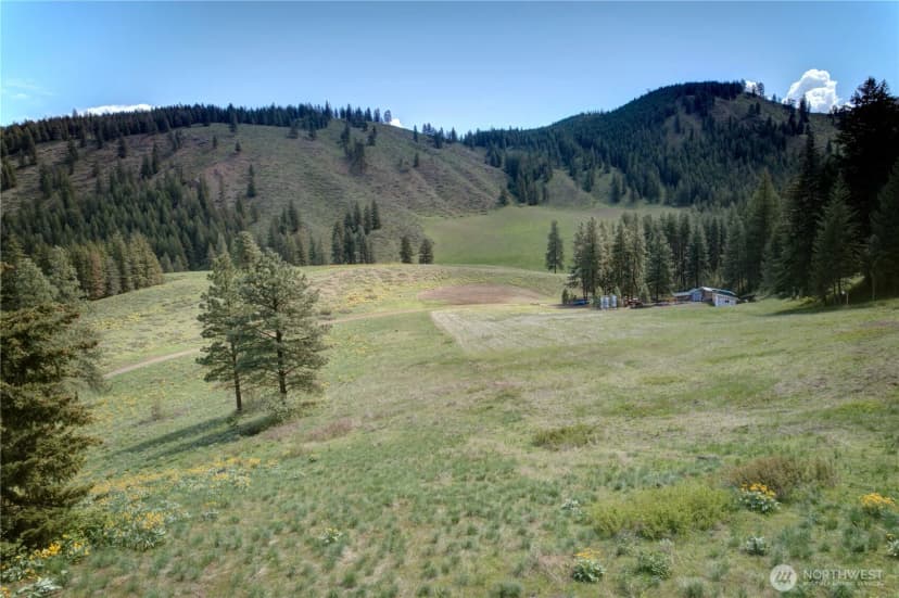 Property photo for 102 Elbow Canyon Road, Twisp photo 24