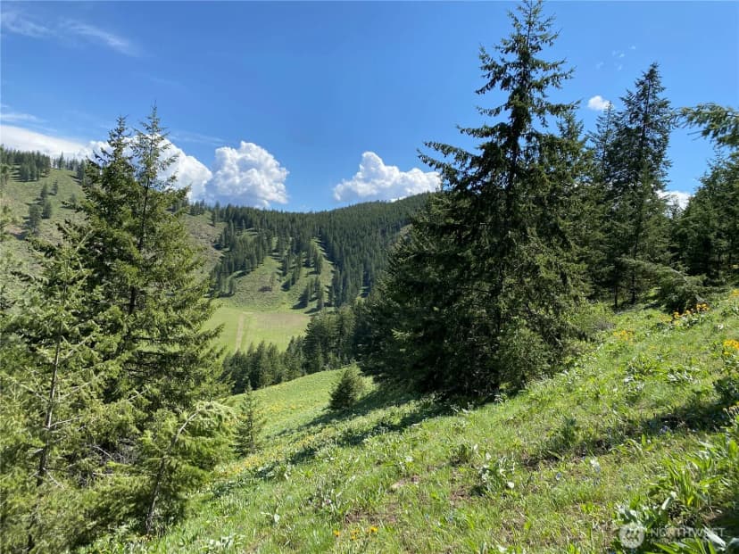 Property photo for 102 Elbow Canyon Road, Twisp photo 10
