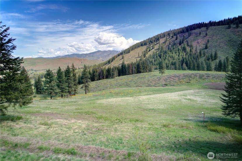 Property photo for 102 Elbow Canyon Road, Twisp photo 27