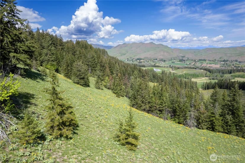 Property photo for 102 Elbow Canyon Road, Twisp photo 29
