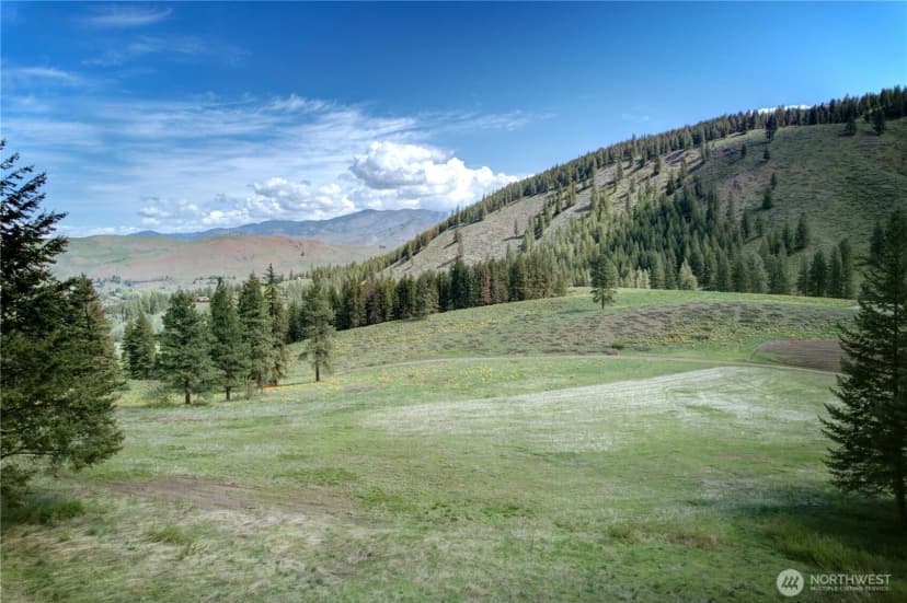 Property photo for 102 Elbow Canyon Road, Twisp photo 22