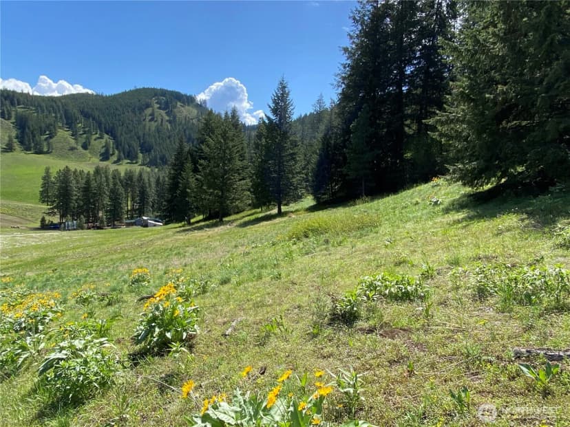 Property photo for 102 Elbow Canyon Road, Twisp photo 8