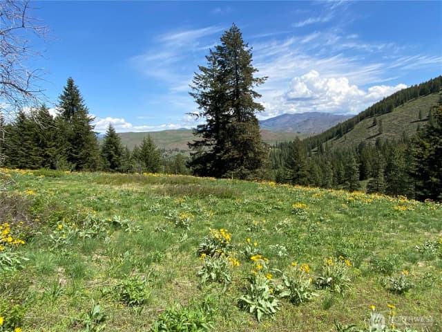 Property photo for 102 Elbow Canyon Road, Twisp photo 5